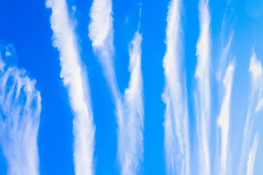$clouds_3 copy.webp