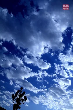 $IMG_3202.webp