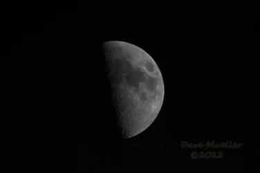 $moonfromthehip.webp $moonfromthehip.webp