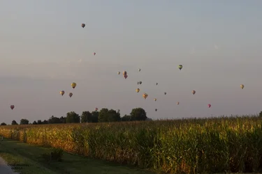 $ballonsintheair.webp $ballonsintheair.webp