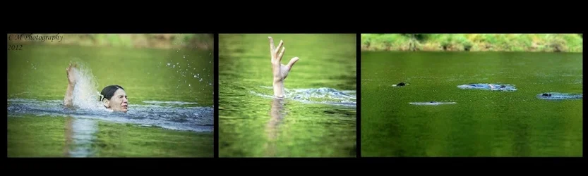 $Hydrophobia.webp $Hydrophobia.webp