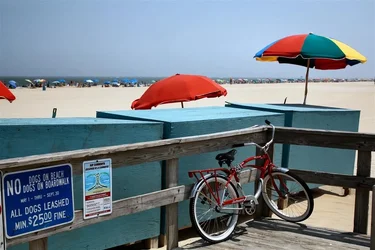 $image-479930115.webp