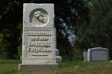 $Truman_small_8860.webp