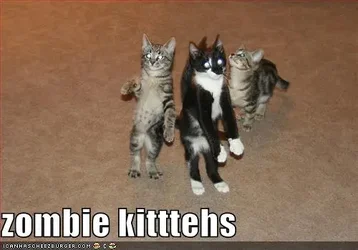 $zombie cats-01.webp