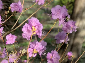P5020039 -1c-rsz1440-C1.webp