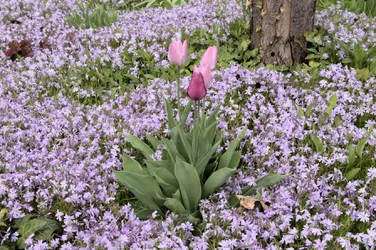 IMGP0160 -1-rsz1280-C1.webp
