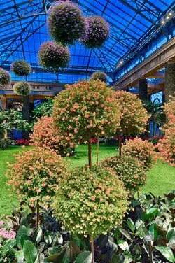 conserv-hdr-3small-2.webp