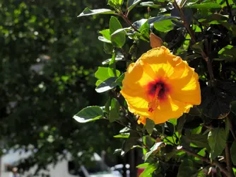 P6140068-1a-rsz1980-C1.webp