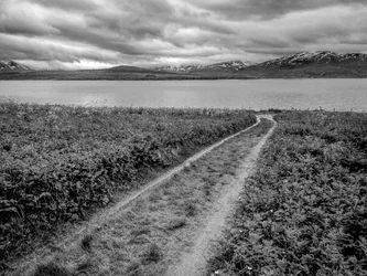bw_1000x752.webp