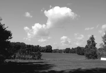 Open field.webp