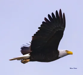 IMG_8354-2t.webp
