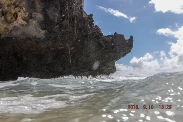 DSCF0077.webp
