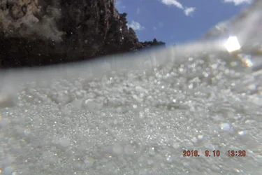 DSCF0078.webp