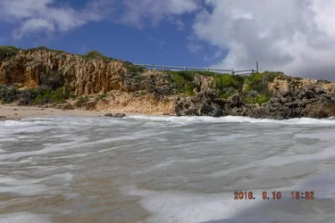 DSCF0084.webp
