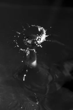 Water drop-1.webp