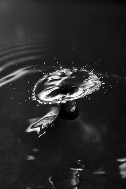 Water drop-13.webp