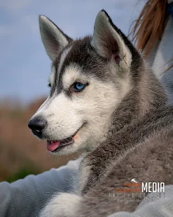 test 7.webp