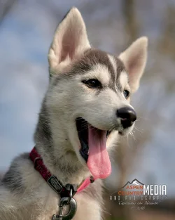 test 12.webp