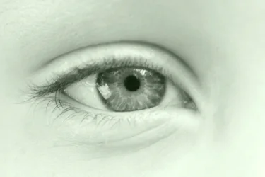 $Eye.webp