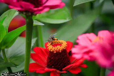 $Musab-Mian-0812-rawalakot_MG_7601.webp