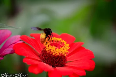 $Musab-Mian-0812-rawalakot_MG_7605.webp