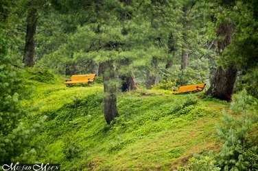 $Musab-Mian-0812-rawalakot_MG_7707.webp