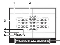 $nikon_d7000_viewfinder-display.jpg