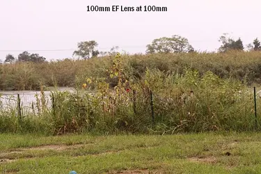 $100mm lens.webp