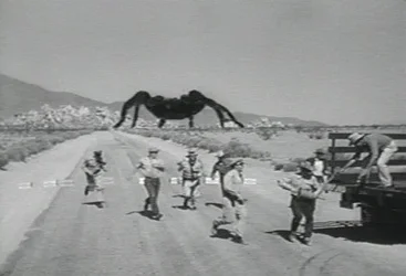 $tarantula6.webp