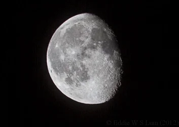 $HalfMoon Original.webp $HalfMoon Original.webp