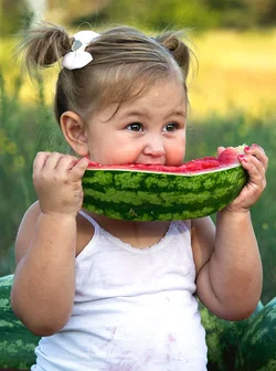$LBB_7875eresize.webp $LBB_7875eresize.webp
