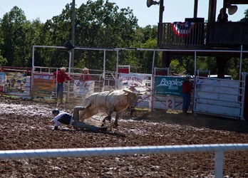 $Watch out Cowboy.webp