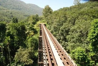 $TRAIN.webp