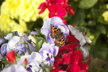 $IMG_4655.webp $IMG_4655.webp