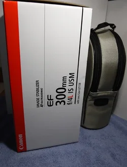 $169A3417.webp