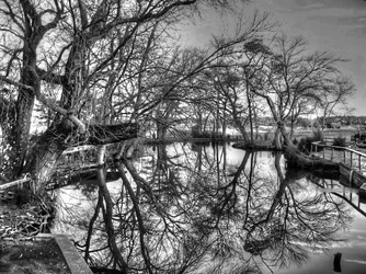 $BlackandWhite.webp
