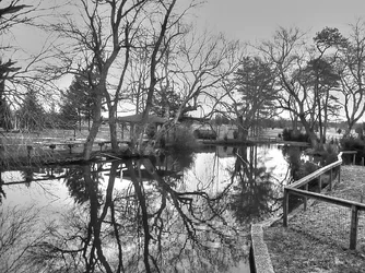 $BlackandWhite2.webp
