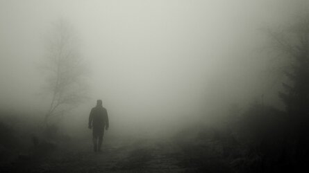 silhouette_fog_loneliness_125988_1366x768.jpg