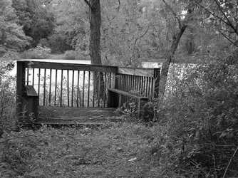 Brench bw.webp