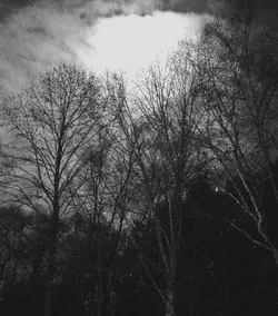 Moon off porch bw.webp