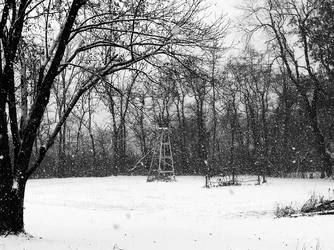 Big Flakes 1 bw.webp