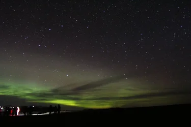 Aurora 2.webp