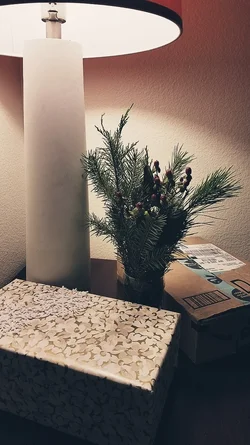 Ad Hoc Christmas Bush - Edited.webp