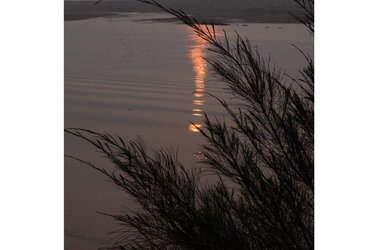 reflection-and-waves1 (800x530).jpg