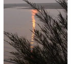 reflection-and-waves2 (800x721).webp