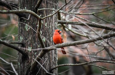 Maymont with Faith - Pause Shoot Photography-1.jpg