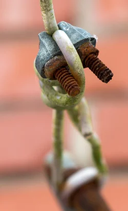 Rusty clamp.webp