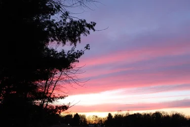 sun set 1.webp
