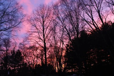 Sun set 2.webp