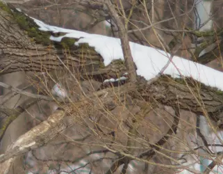 P3010003a-Crop01.webp
